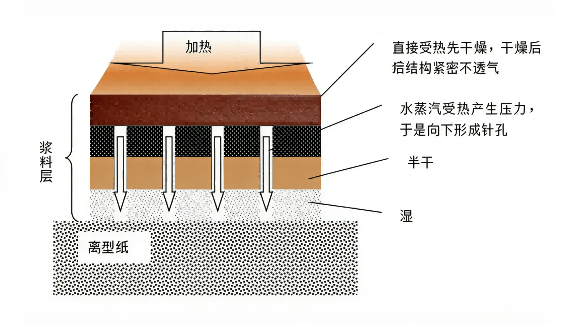 Cross-section diagram of heating and drying a wet coating on release paper